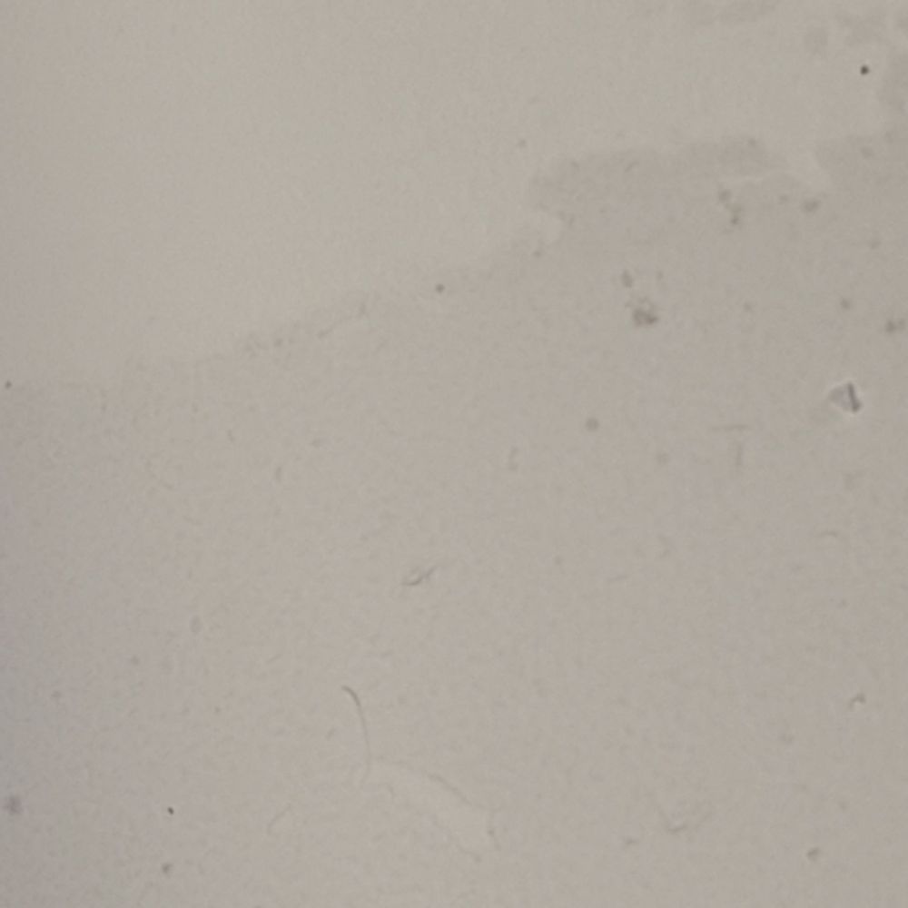 Will Cleaning NY - Home Cleaning Near Me Will Cleaning NY - Home Cleaning Near Me