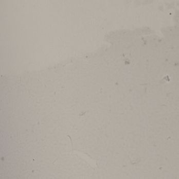 Will Cleaning NY - Home Cleaning Near Me Will Cleaning NY - Home Cleaning Near Me
