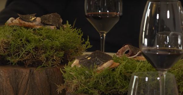 LES MAGNÒLIES by null