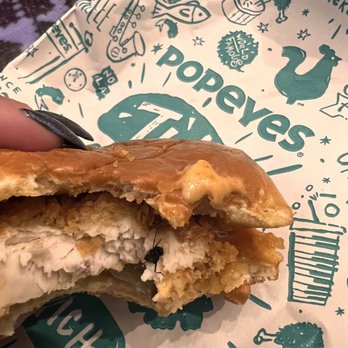 Popeyes Louisiana Kitchen - Dead fly - Fast Food Near Me - Brighton, Colorado