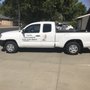 Curtis Pest Control