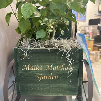 Matcha Cafe Maiko - Ice Cream & Frozen Yogurt Near Me - Flushing, New York