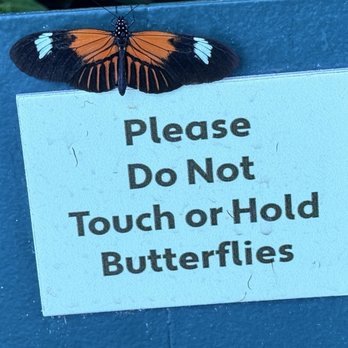 Audubon Insectarium - Zoos Near Me - New Orleans, Louisiana Audubon Insectarium - Zoos Near Me - New Orleans, Louisiana