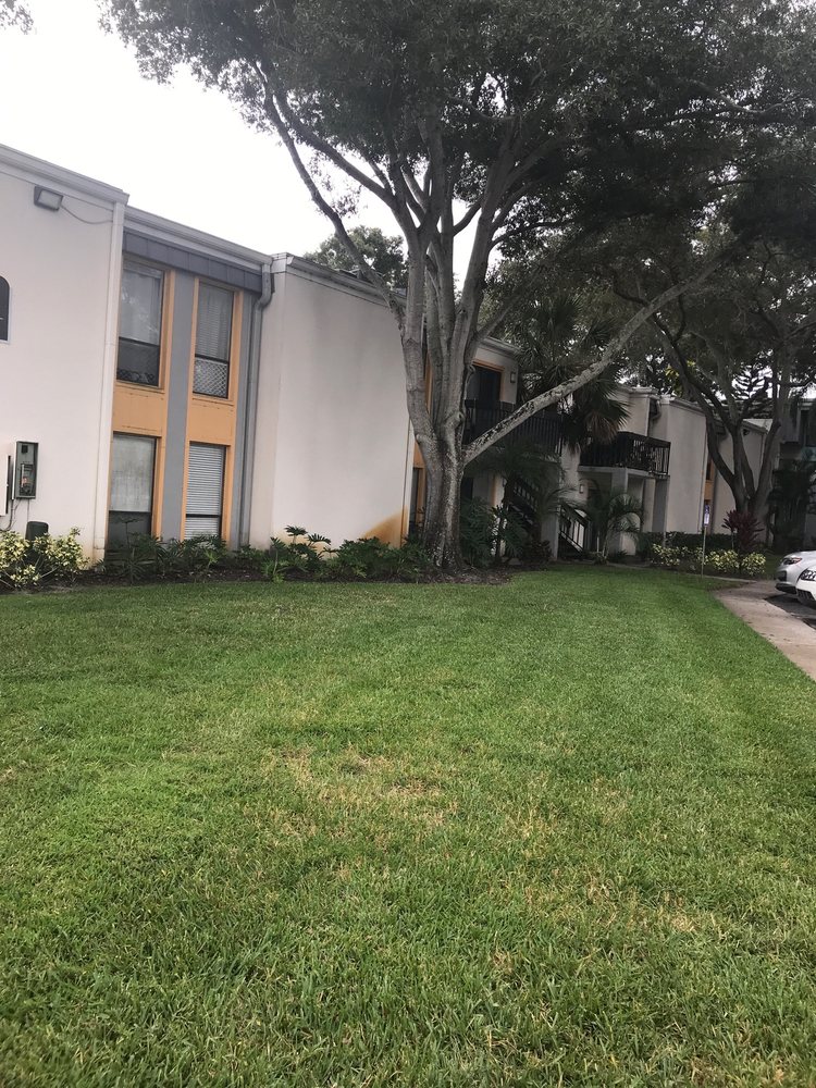 THE STANDARD AT 2690 APARTMENTS 2690 Drew St, Clearwater, FL Yelp