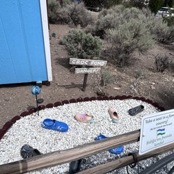 Republic of Molossia - The croc pond