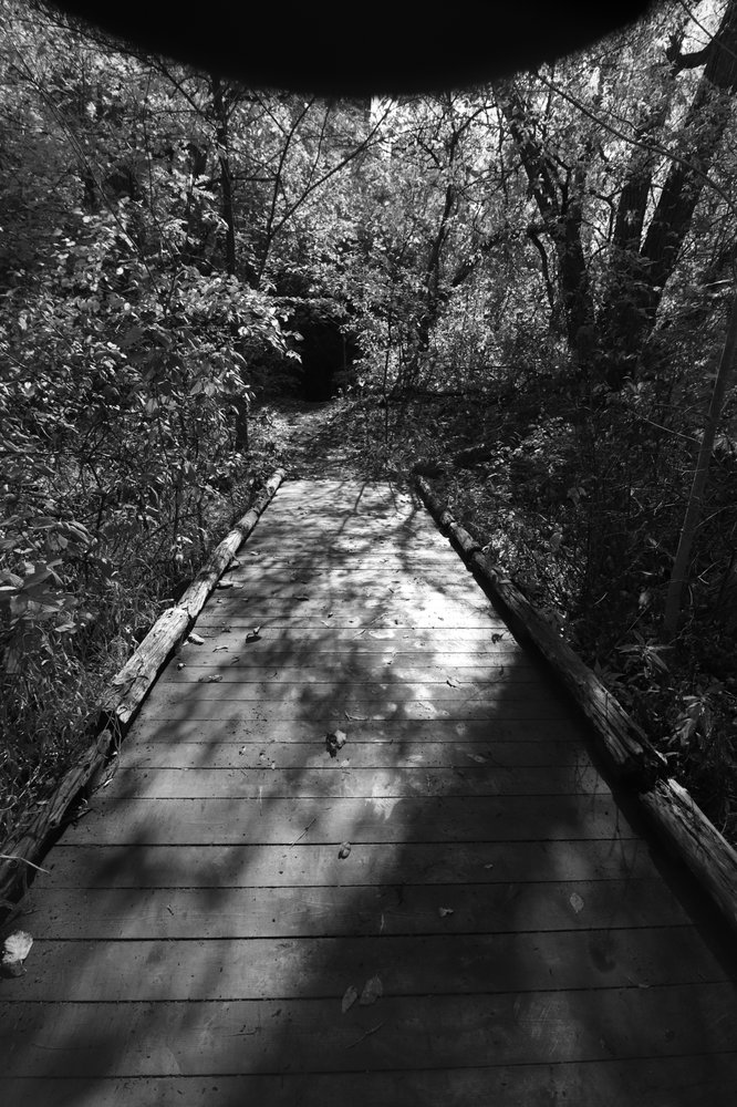 Todmorden Mills Heritage Site