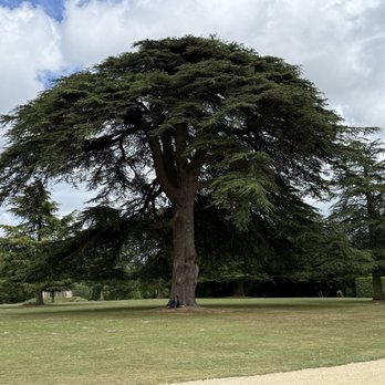 Highclere Castle - Castles Near Me - Newbury, WBK