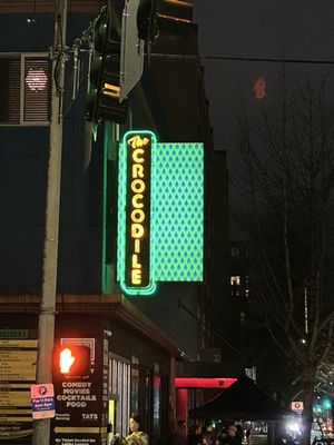 The Crocodile by null