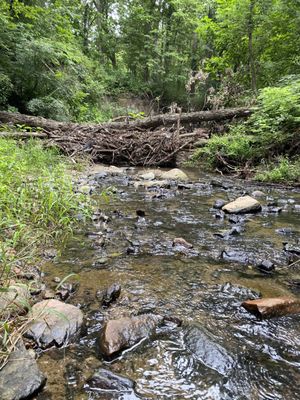 Lied Lodge at Arbor Day Farm by null