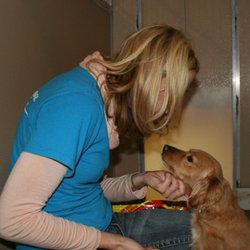 Forest Ridge Kennel