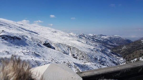 Sierra Nevada by null