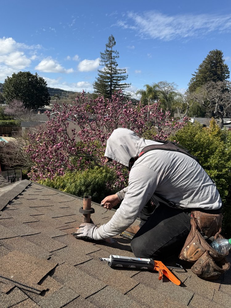 Alpha Eagle Roofing - veterans service organization in San Francisco, CA