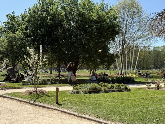 Parc de la Tête d'Or by null