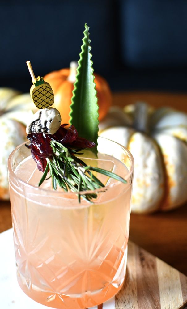 Native Cocktail Events Logo