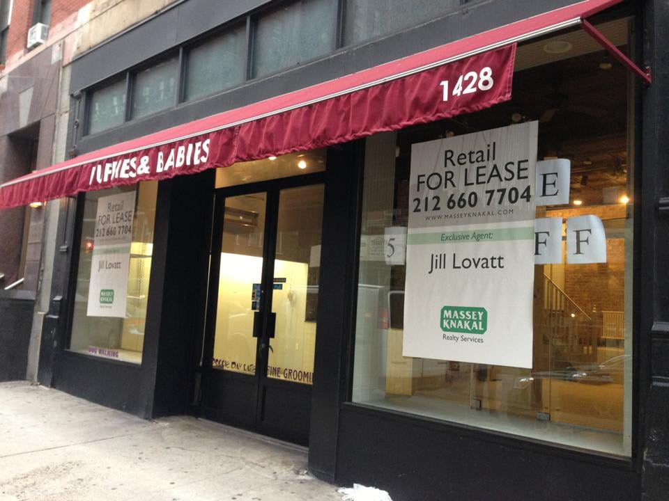 HOUSE OF PAW ET BEBE Updated June 2024 1428 Lexington Ave, New York