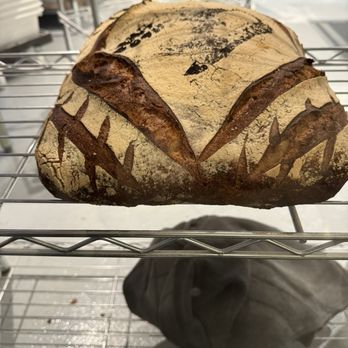 Maison Benoit - More country bread - Patisserie/Cake Shop Near Me - Danville, California Maison Benoit - More country bread - Patisserie/Cake Shop Near Me - Danville, California