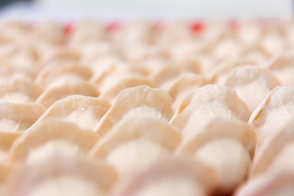 Dumpling City by null