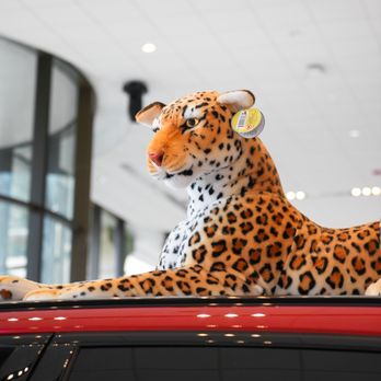 Jaguar Palm Beach - Car Dealers Near Me - West Palm Beach, Florida Jaguar Palm Beach - Car Dealers Near Me - West Palm Beach, Florida