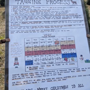 Henry's Christmas Tree Farm - Tagging process from 2020 - Christmas Trees Near Me - Hope, Rhode Island Henry's Christmas Tree Farm - Tagging process from 2020 - Christmas Trees Near Me - Hope, Rhode Island