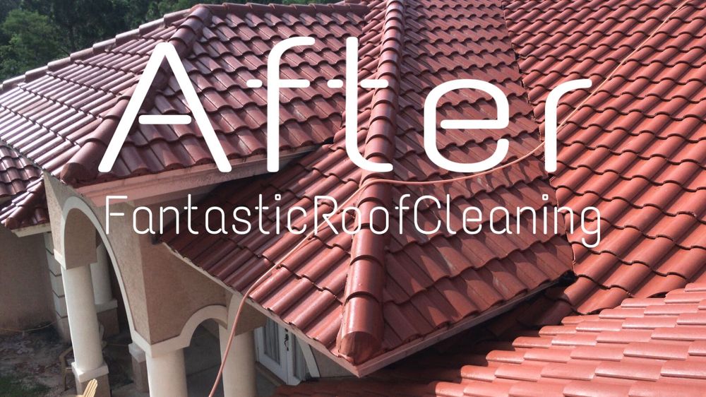 Slide of Fantastic Roof Cleaning