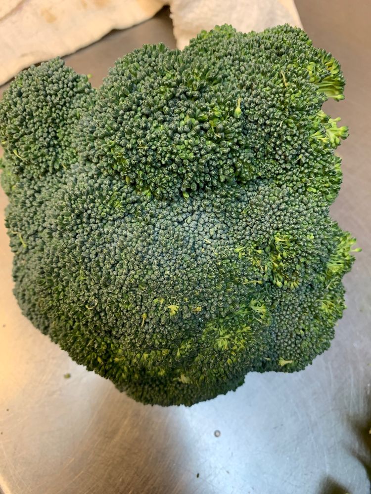 PEKING CHINESE RESTAURANT Updated September 2024 16 Photos & 12