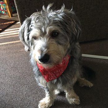 The Maverick - My Best Friend ~ Archie. - Pubs Near Me - Stourbridge, XWM The Maverick - My Best Friend ~ Archie. - Pubs Near Me - Stourbridge, XWM
