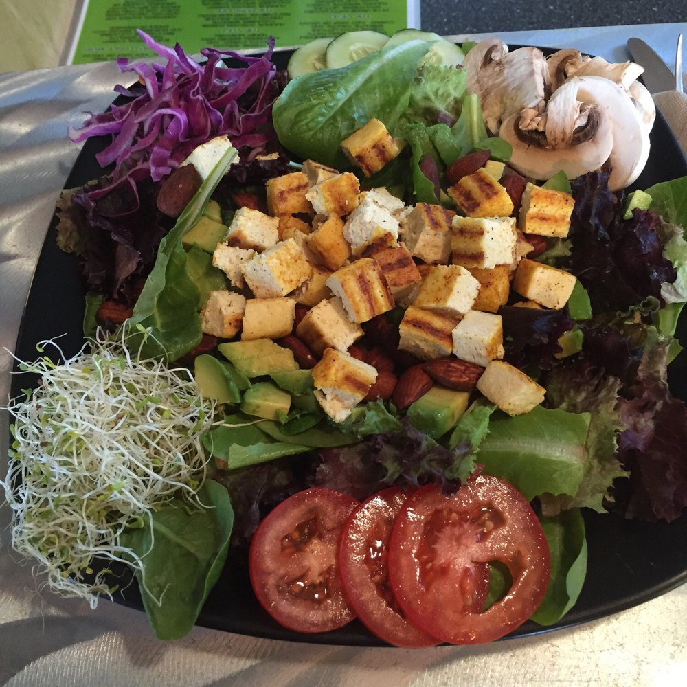 Green Room Cafe - The Driftwood Salad with seasoned tofu - Bars Near Me - Cocoa Beach, Florida Green Room Cafe - The Driftwood Salad with seasoned tofu - Bars Near Me - Cocoa Beach, Florida