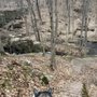 Dividend Pond
