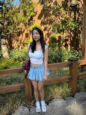 Tokyo DisneySea by null