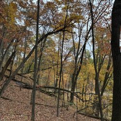 Rocky Arbor State Park - Park