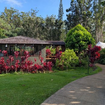 Common Ground Kauai - Tea house - Attraction Farms Near Me - Kilauea, Hawaii Common Ground Kauai - Tea house - Attraction Farms Near Me - Kilauea, Hawaii