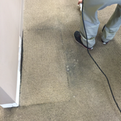 Oxi Fresh Carpet Cleaning - Before cleaning- you can see the dirt around where the filing cabinet was....