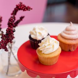 Cupcake and a Smile