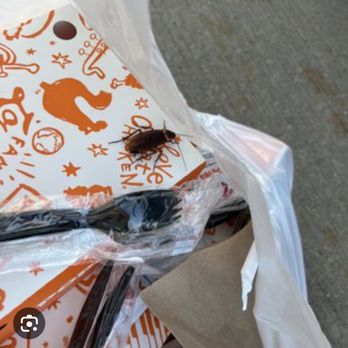 Popeyes Louisiana Kitchen - This roach crawled out as we opened the bag and a baby in the box - Fast Food Near Me - Abilene, Texas Popeyes Louisiana Kitchen - This roach crawled out as we opened the bag and a baby in the box - Fast Food Near Me - Abilene, Texas