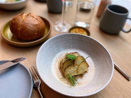 Oyster Oyster by null