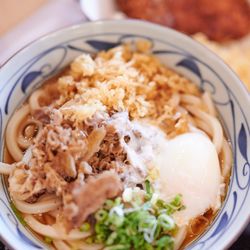 Marugame Udon - Nikutama Udon