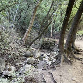 Nojoqui Falls County Park - Stream - Parks Near Me - Solvang, California Nojoqui Falls County Park - Stream - Parks Near Me - Solvang, California