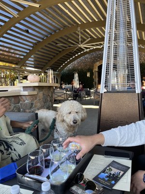 Black Stallion Estate Winery by null