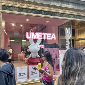 Ume Tea - Bubble Tea Near Me - Chicago, Illinois