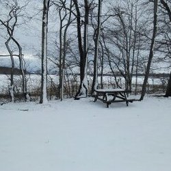 Tremaine Park
