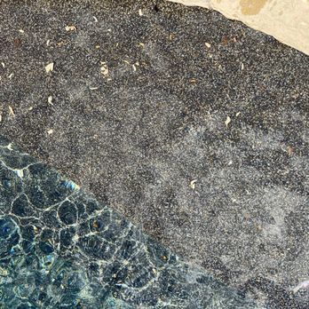 Stars & Stripes Tree Service - Just a few of the many wood chips that ended up in the pool after they were alerted of it happening. - Tree Services Near Me Stars & Stripes Tree Service - Just a few of the many wood chips that ended up in the pool after they were alerted of it happening. - Tree Services Near Me