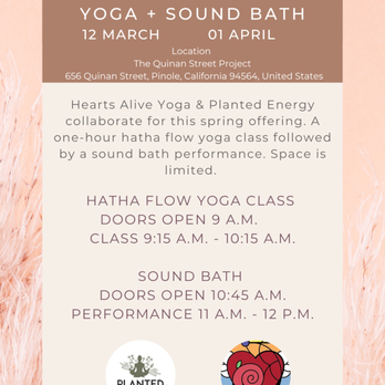 Planted Energy - Reiki Near Me Planted Energy - Reiki Near Me