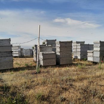 Potato Mountain - WATCH OUT FOR BEES - Hiking Near Me - Claremont, California Potato Mountain - WATCH OUT FOR BEES - Hiking Near Me - Claremont, California