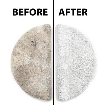 Carpet Maxx - Carpet Cleaning Near Me Carpet Maxx - Carpet Cleaning Near Me