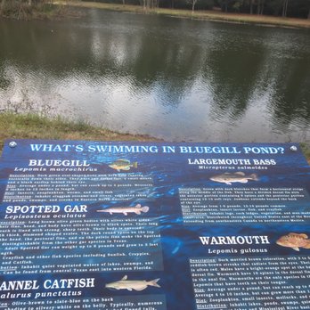 Spring Trails Visitors Center - Fishing is abailable - Travel Services Near Me - Spring, Texas