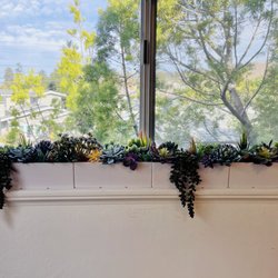 East Bay ADHD Psychology & Assessment - View from my office.