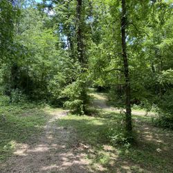 Maryville Hiking Trail