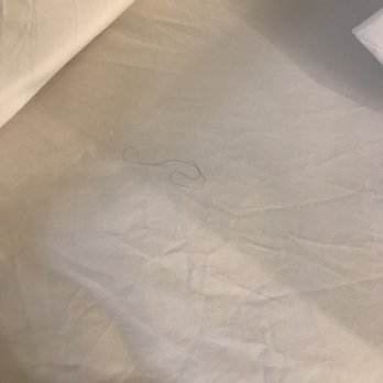 Sleep Inn & Suites Roseburg North Near Medical Center - Hair on sheets in Room 1. - Hotels Near Me - Roseburg, Oregon Sleep Inn & Suites Roseburg North Near Medical Center - Hair on sheets in Room 1. - Hotels Near Me - Roseburg, Oregon