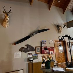 Nisqually Lodge