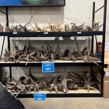 That Fish Place - That Pet Place - Local Fish Stores Near Me - Lancaster, Pennsylvania That Fish Place - That Pet Place - Local Fish Stores Near Me - Lancaster, Pennsylvania